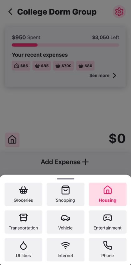 Expense category selection